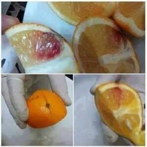 Fruits AIDS virus hoax