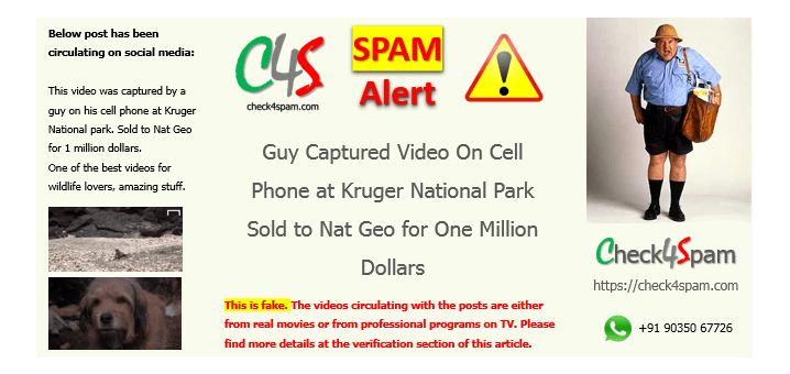cell phone video kruger national park hoax