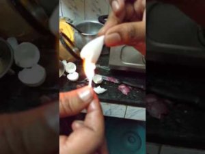 plastic chinese artificial egg circulation India spam