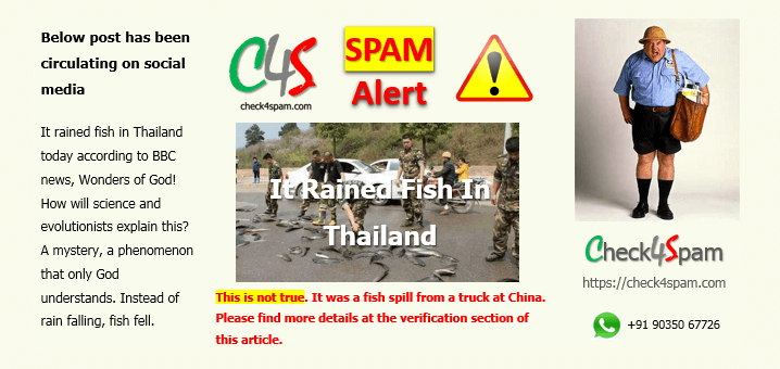 rained fish Thailand spam