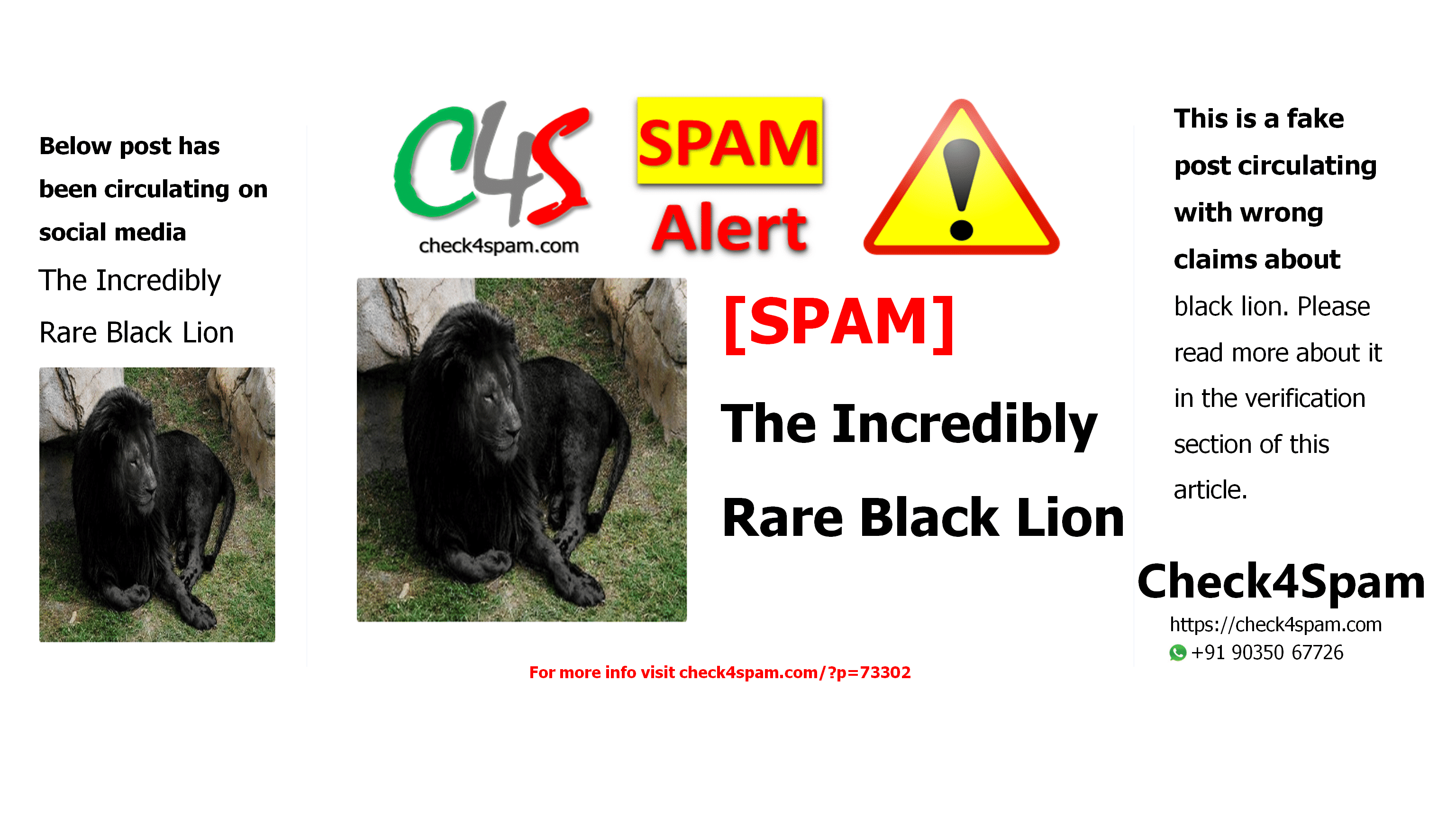 SPAM] The Incredibly Rare Black Lion - Check4Spam