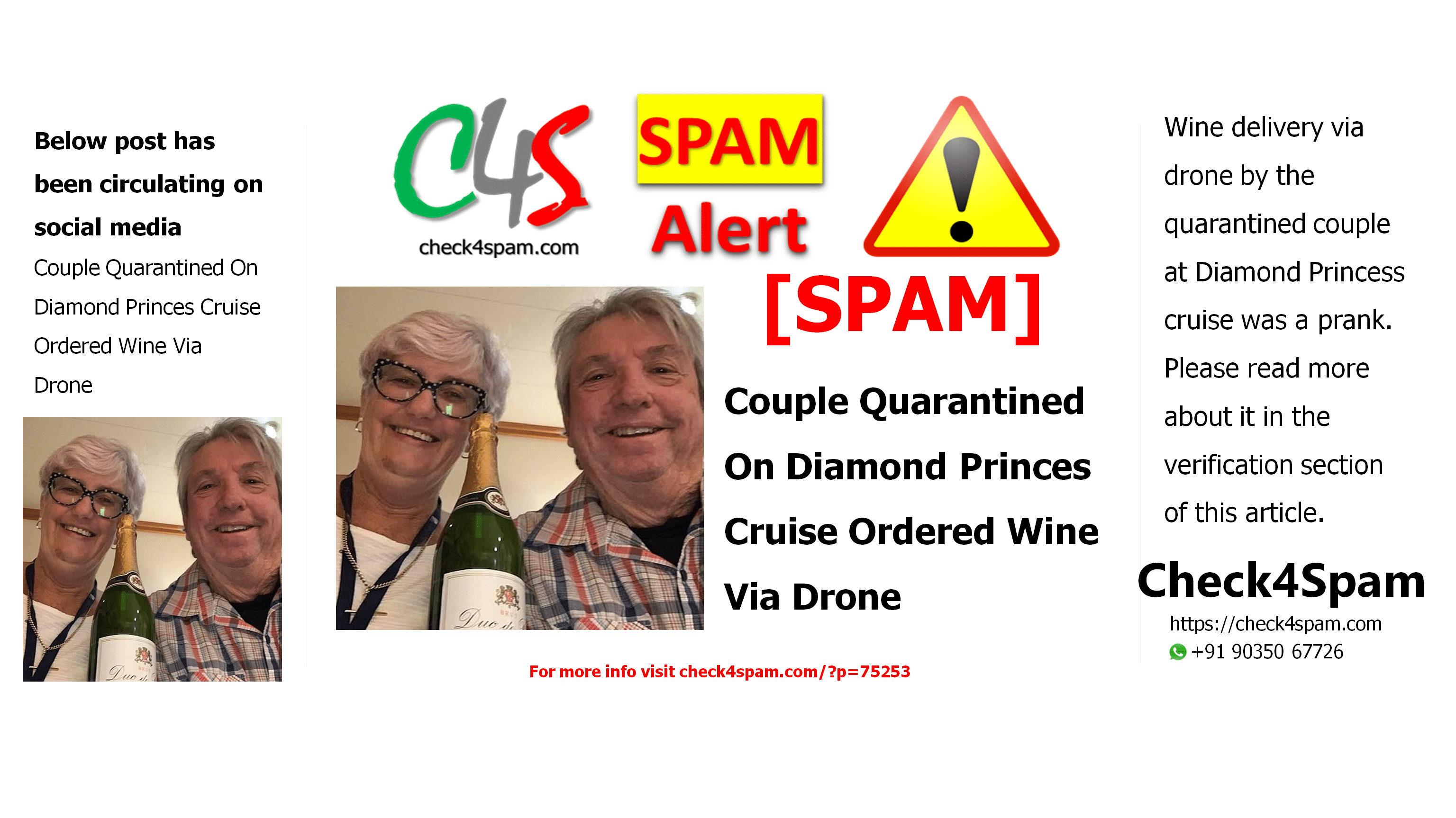A Couple Quarantined On Diamond Princes Cruise Ordered Wine Via Drone