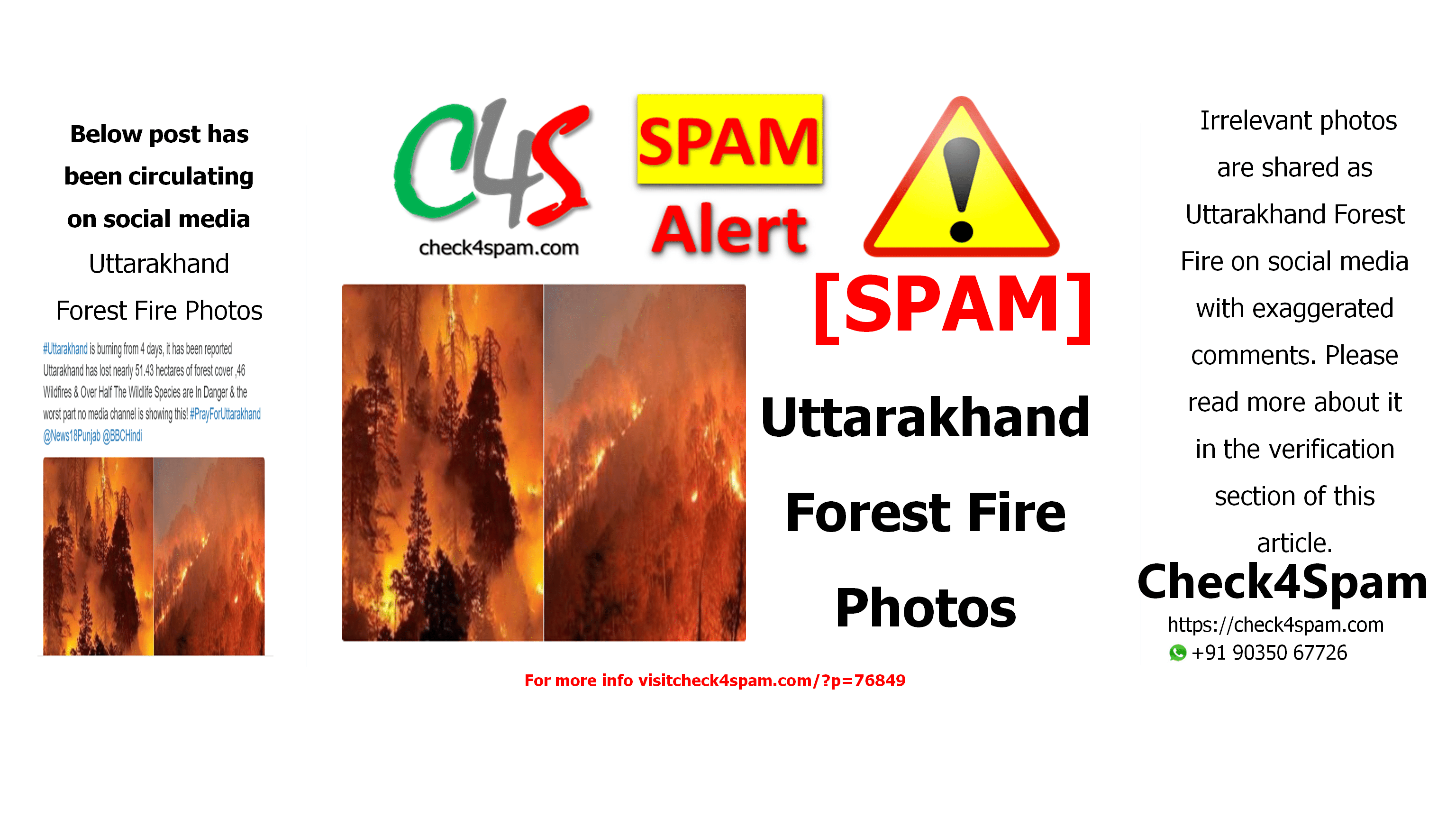 Uttarakhand Forest Fire Photos
