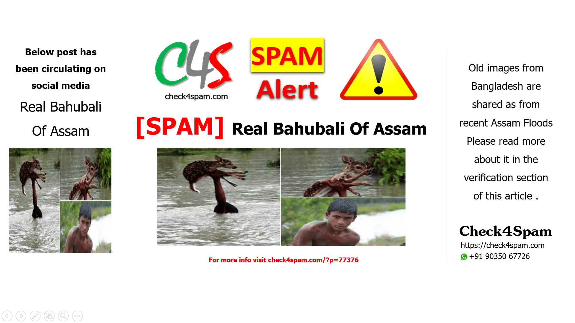 Real Bahubali Of Assam