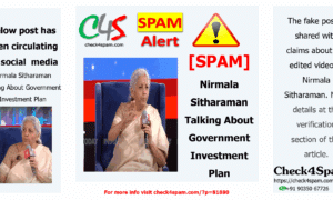 Nirmala Sitharaman Talking About Government Investment Plan