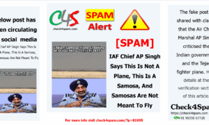 IAF Chief AP Singh Says This Is Not A Plane, This Is A Samosa, And Samosas Are Not Meant To Fly