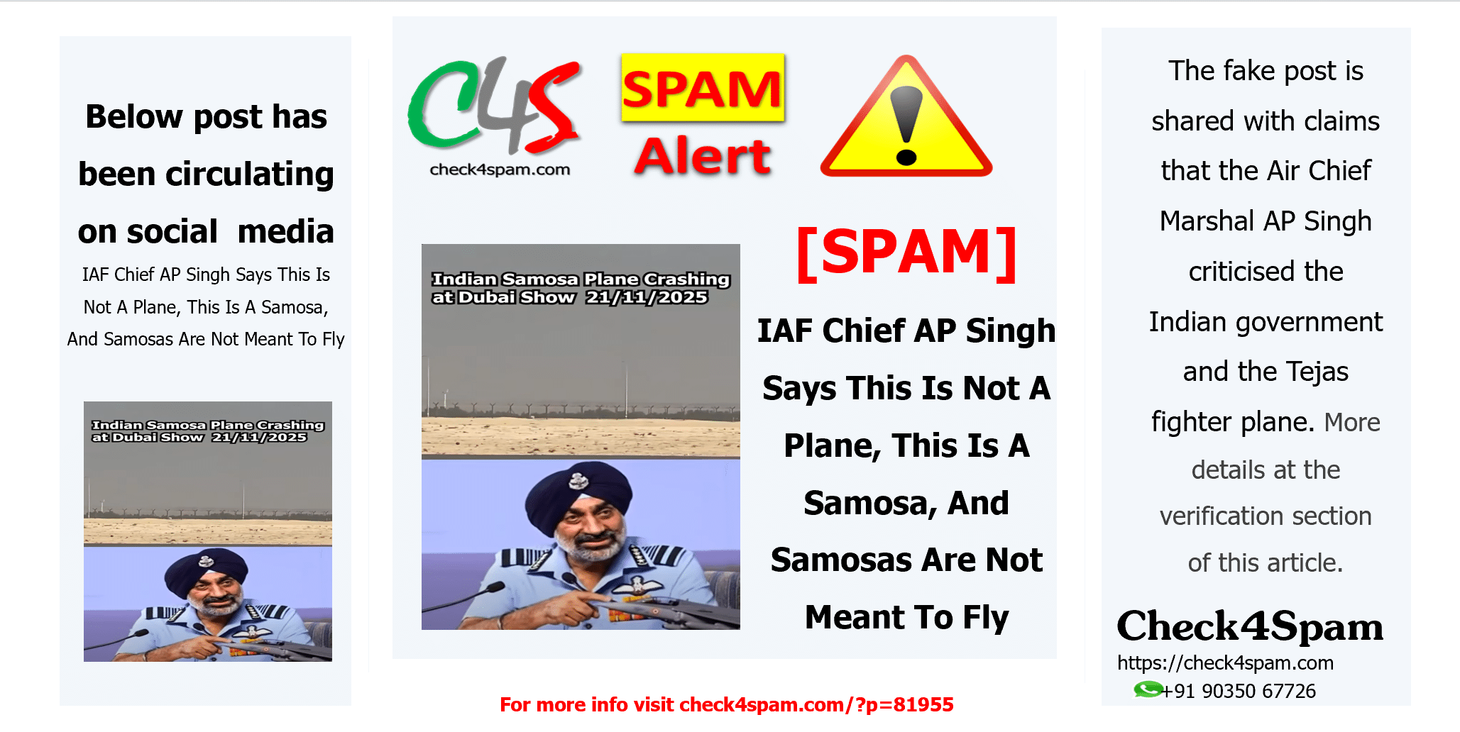 IAF Chief AP Singh Says This Is Not A Plane, This Is A Samosa, And Samosas Are Not Meant To Fly